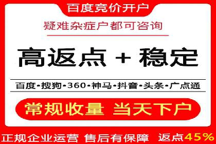 SEM代运营机构成功案例：优化策略与效果分析